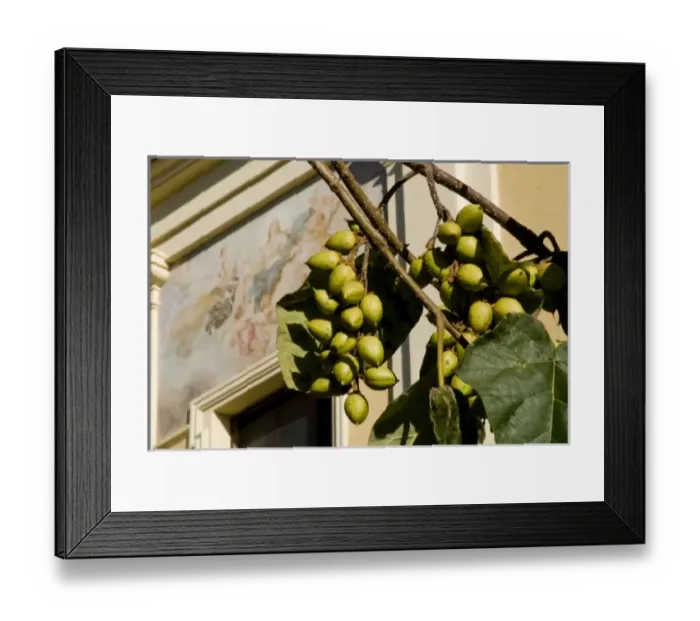Framed Print : Europe, Italy
