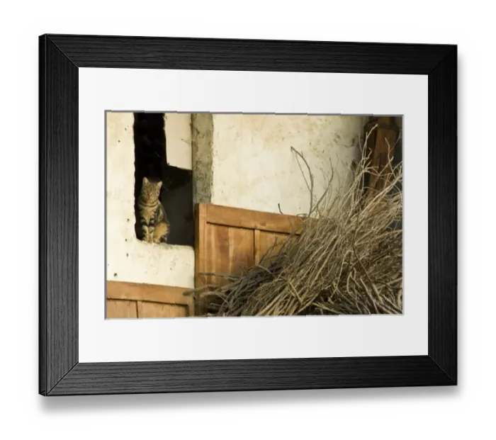 Framed Print : Europe, Italy Framed Print : Europe, Italy
