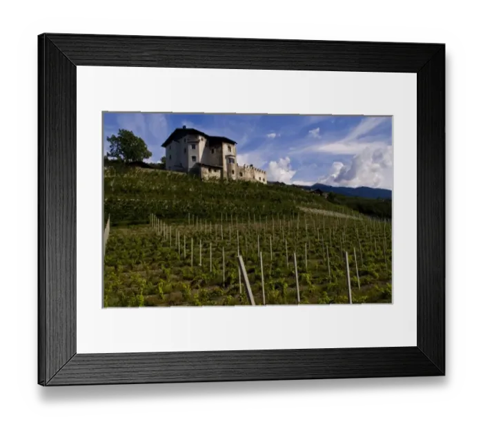Framed Print : Vineyards and homes in small village vineyard near Bressanone Italy in the Italian Alps