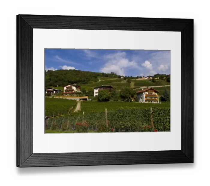 Framed Print : Vineyards and homes in small village vineyard near Bressanone Italy in the Italian Alps