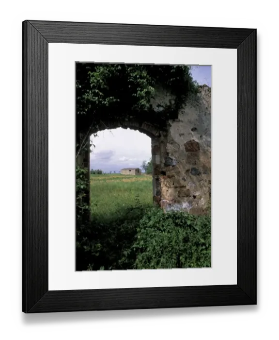 Framed Print : Italy, Tuscany, Siena. Old buildings and vineyards Framed Print : Italy, Tuscany, Siena. Old buildings and vineyards