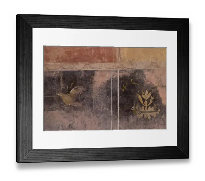 Framed Print : Italy, Campania, Pompeii. Wall detail of art in the Fullery of Stephanus Framed Print : Italy, Campania, Pompeii. Wall detail of art in the Fullery of Stephanus
