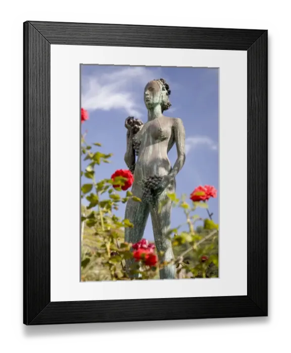 Framed Print : Europe, Italy