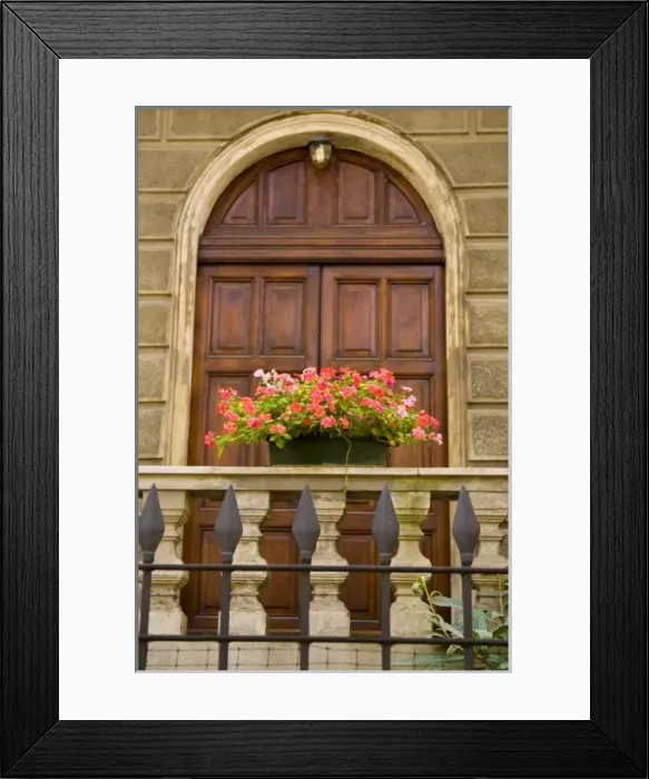 Framed Print : Italy, Parma. A pot of pink flowers decorates the railing in front of a wooden door