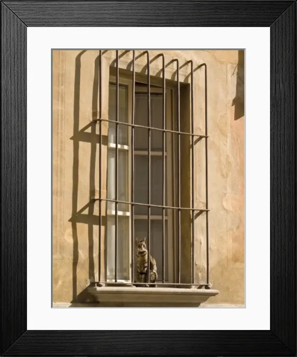 Framed Print : Europe, Italy