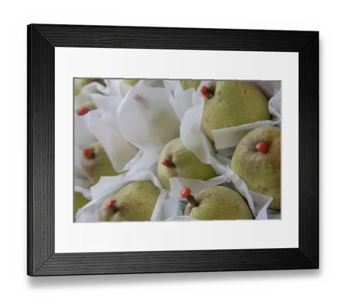 Framed Print : Europe, Italy Framed Print : Europe, Italy