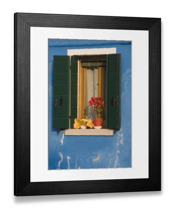 Framed Print : Europe, Italy, Burano. Poinsettia sits on shuttered window sill of a blue house. Credit as