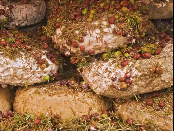 Italy, Tuscany, Pienza. Close-up of cheese being seasoned in juniper needles and berries