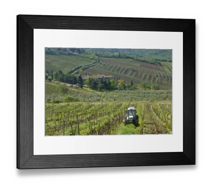 Framed Print : Europe, Italy Framed Print : Europe, Italy