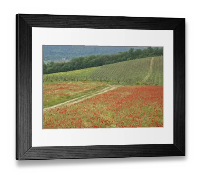 Framed Print : Europe, Italy Framed Print : Europe, Italy