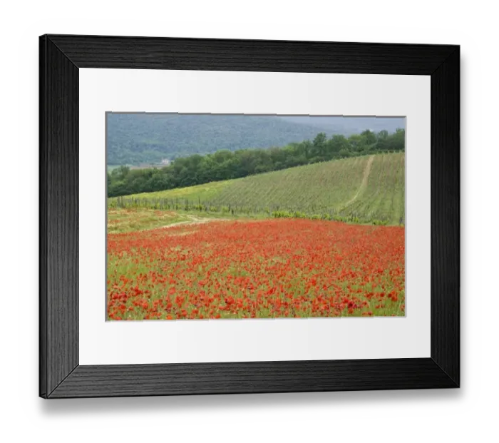 Framed Print : Europe, Italy Framed Print : Europe, Italy