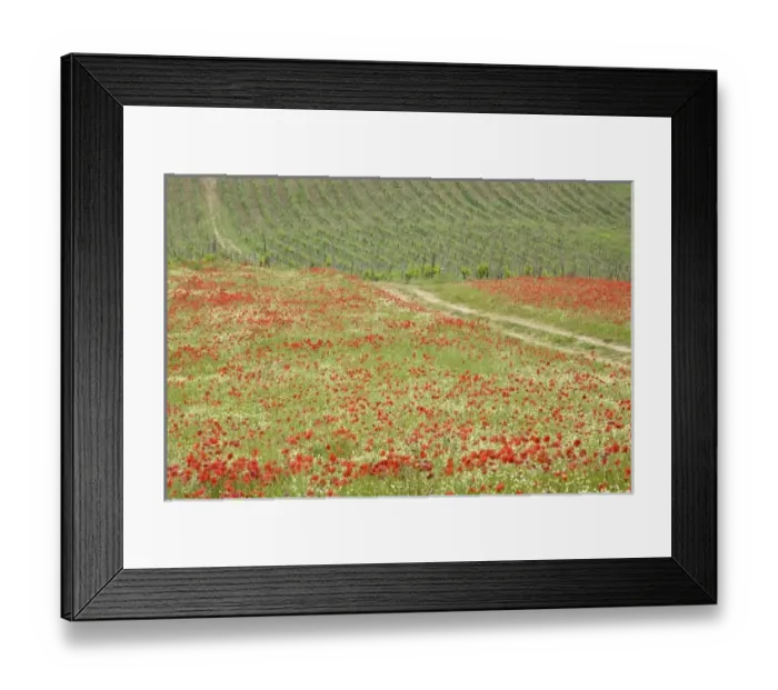 Framed Print : Europe, Italy Framed Print : Europe, Italy