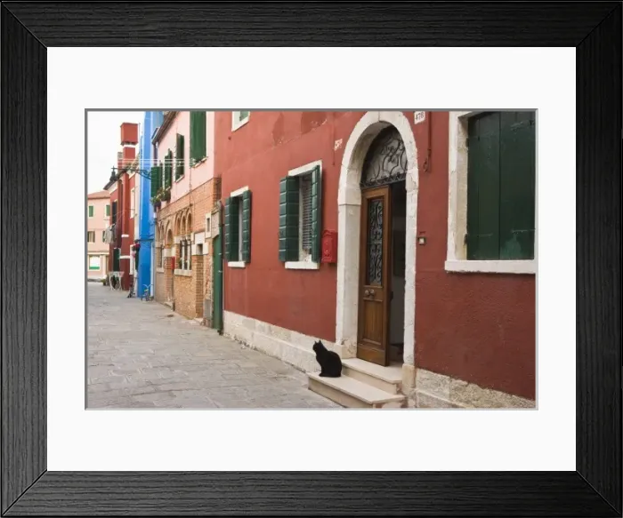 Framed Print : Italy, Venice, Burano. Cat on doorstep of brightly colored house Framed Print : Italy, Venice, Burano. Cat on doorstep of brightly colored house