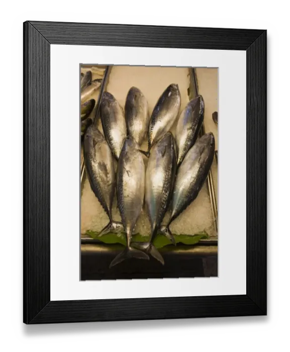 Framed Print : Unknown. Italy, Venice. Fish displayed for sale in fish market Framed Print : Unknown. Italy, Venice. Fish displayed for sale in fish market