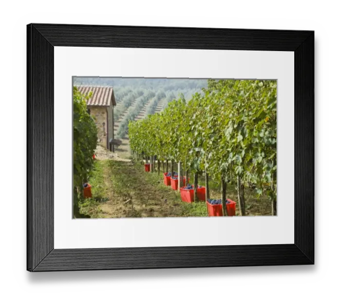 Framed Print : Europe, Italy