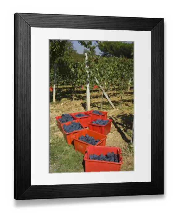 Framed Print : Europe, Italy Framed Print : Europe, Italy
