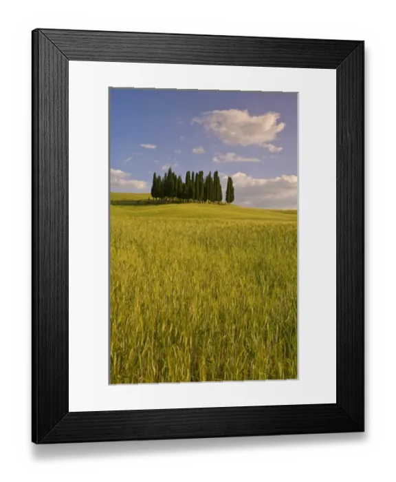 Framed Print : Europe, Italy Framed Print : Europe, Italy