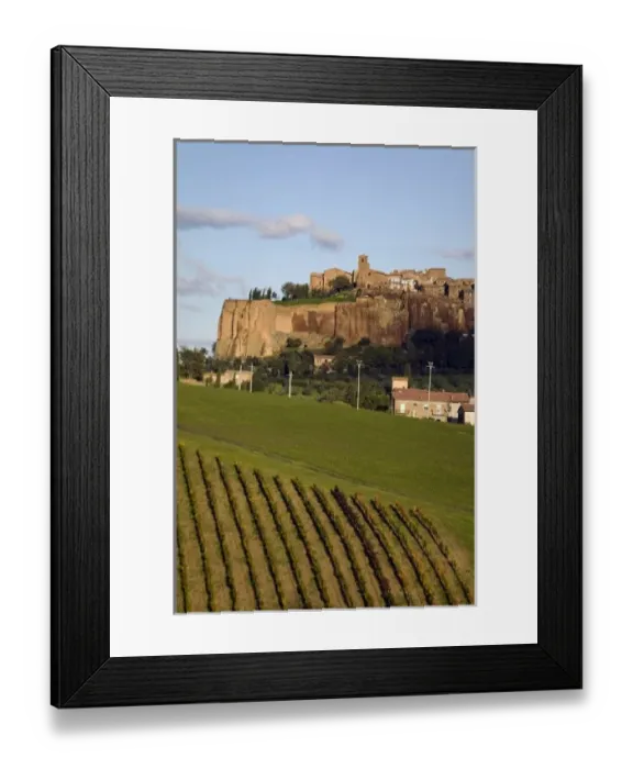 Framed Print : Orvieto, vineyard, Umbria, Italy Framed Print : Orvieto, vineyard, Umbria, Italy