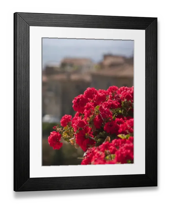 Framed Print : Italy, Cortona, Flower boxes Framed Print : Italy, Cortona, Flower boxes