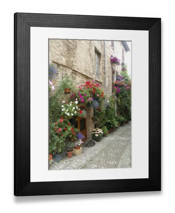 Framed Print : Europe, Italy Framed Print : Europe, Italy