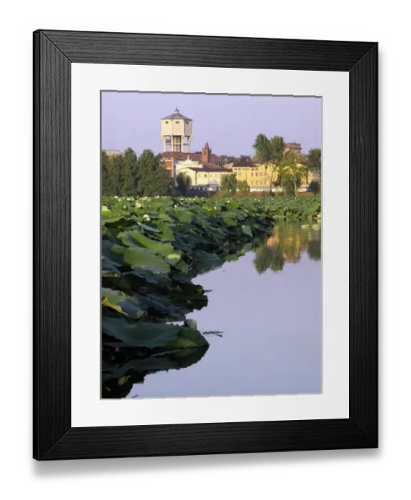 Framed Print : Europe, Italy Framed Print : Europe, Italy