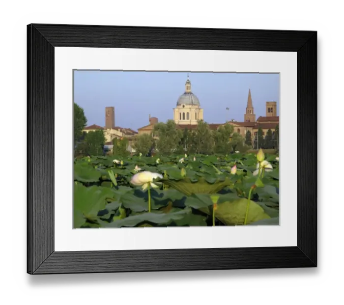 Framed Print : Europe, Italy Framed Print : Europe, Italy