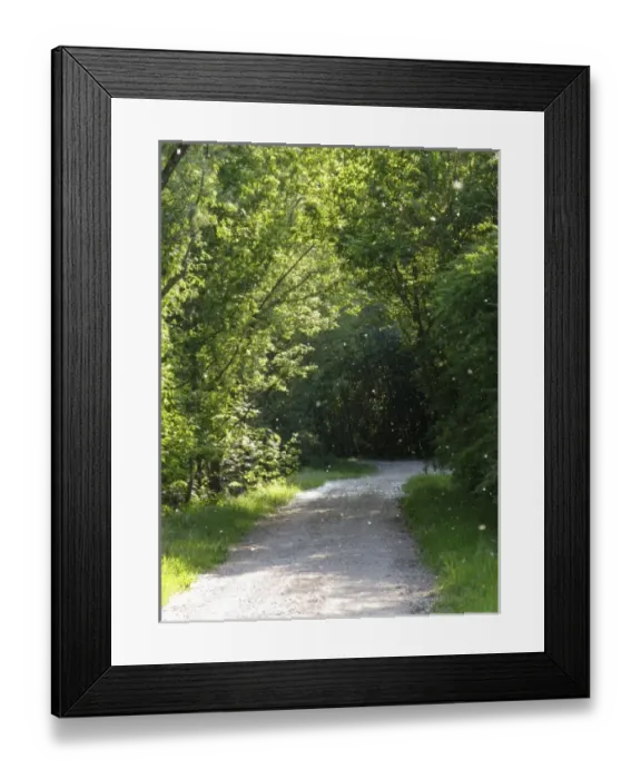 Framed Print : Europe, Italy Framed Print : Europe, Italy