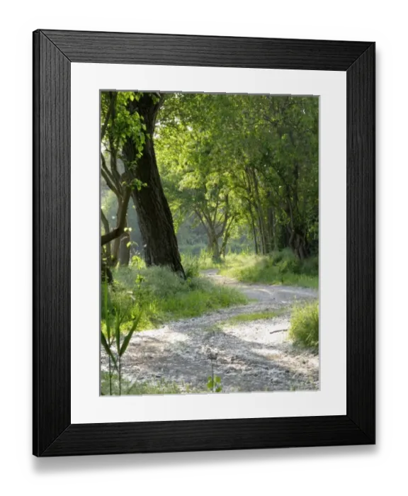 Framed Print : Europe, Italy Framed Print : Europe, Italy