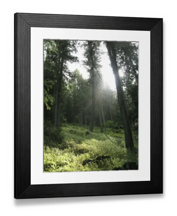 Framed Print : Europe, Italy