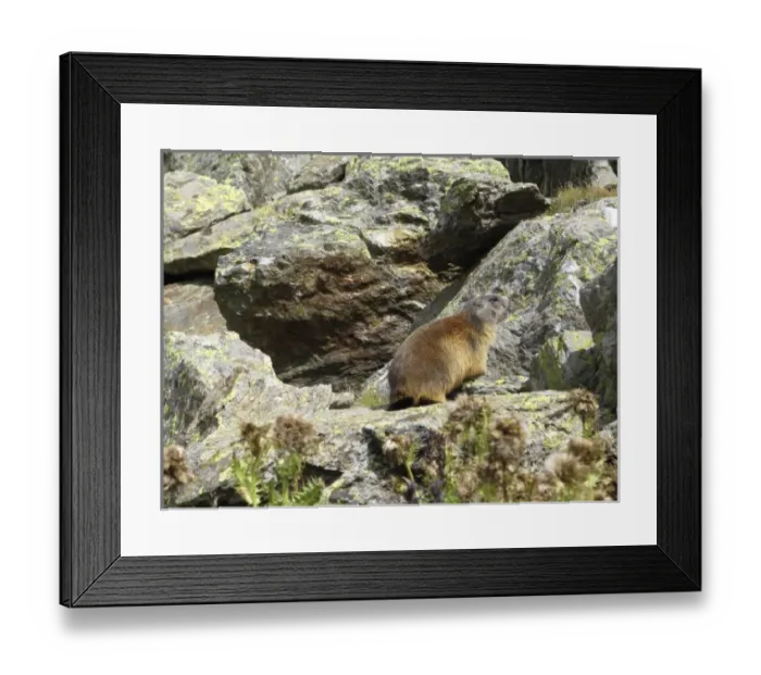 Framed Print : Europe, Italy