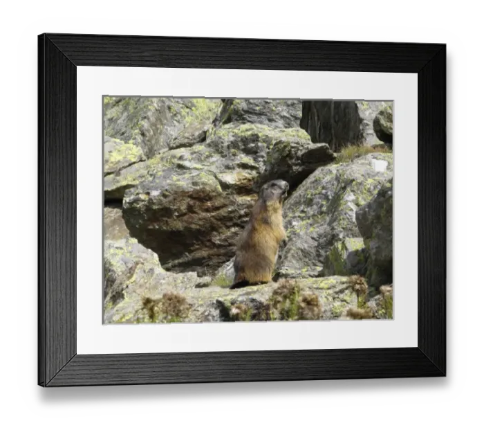 Framed Print : Europe, Italy Framed Print : Europe, Italy