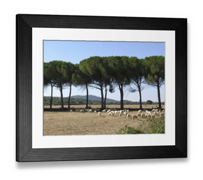 Framed Print : Europe, Italy Framed Print : Europe, Italy