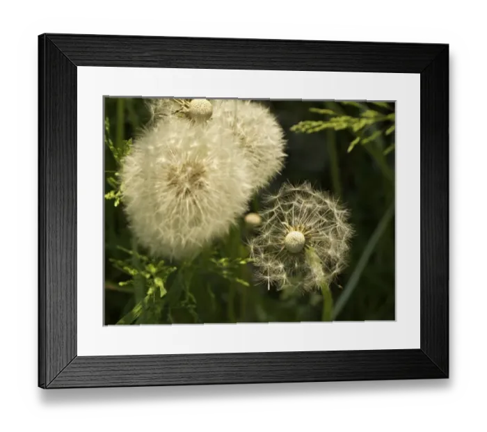 Framed Print : Europe, Italy Framed Print : Europe, Italy