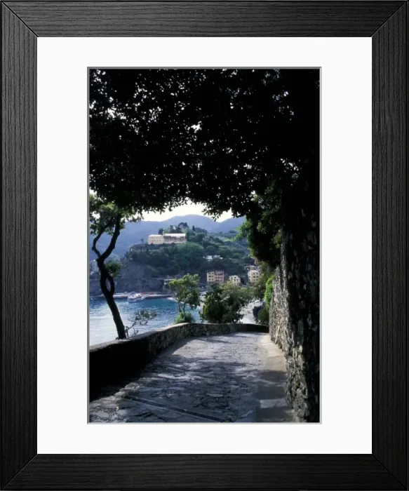 Framed Print : Europe, Italy, Cinque Terre, Vernazza, Monterosso. Shaded stone path Framed Print : Europe, Italy, Cinque Terre, Vernazza, Monterosso. Shaded stone path