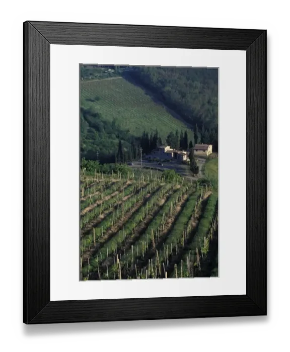 Framed Print : Europe, Italy