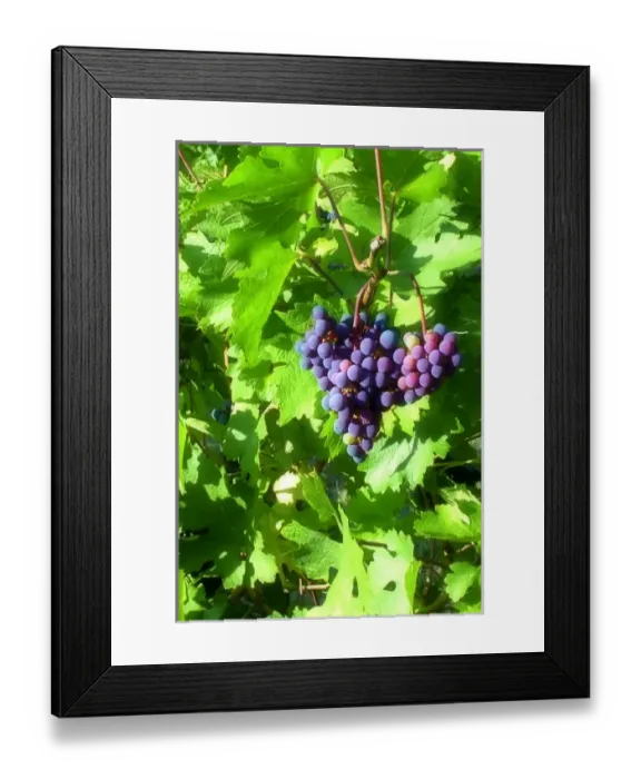 Framed Print : Europe, Italy Framed Print : Europe, Italy
