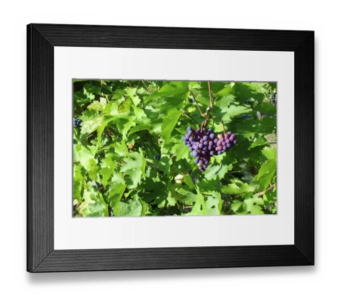 Framed Print : Europe, Italy Framed Print : Europe, Italy