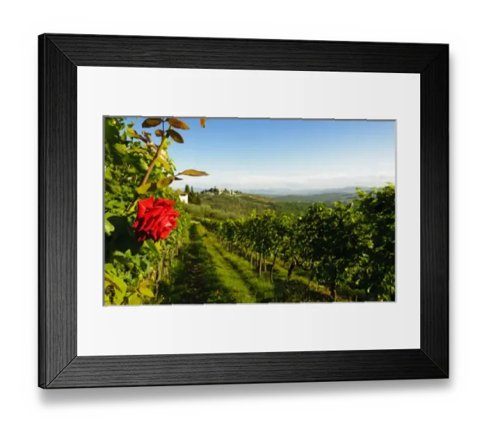 Framed Print : Europe, Italy Framed Print : Europe, Italy