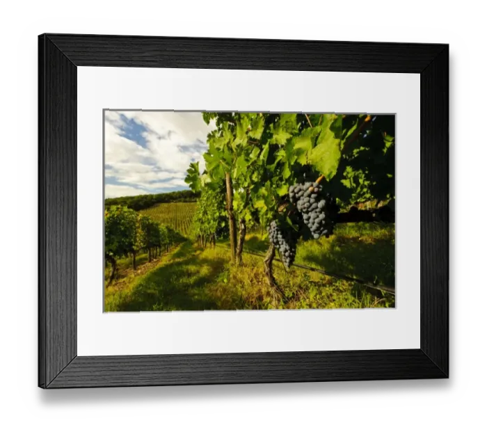 Framed Print : Europe, Italy Framed Print : Europe, Italy