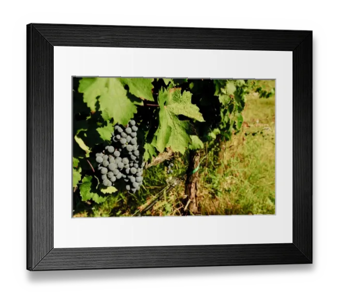 Framed Print : Europe, Italy Framed Print : Europe, Italy