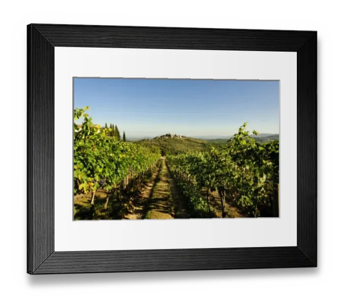Framed Print : Europe, Italy Framed Print : Europe, Italy