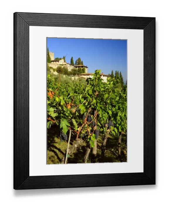 Framed Print : Europe, Italy Framed Print : Europe, Italy