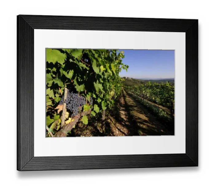 Framed Print : Europe, Italy