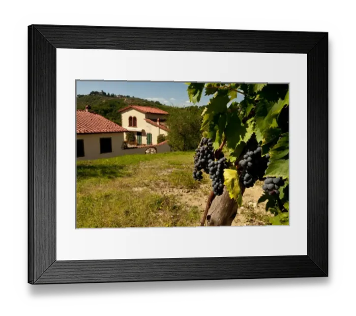 Framed Print : Europe, Italy Framed Print : Europe, Italy