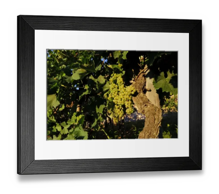 Framed Print : Europe, Italy Framed Print : Europe, Italy