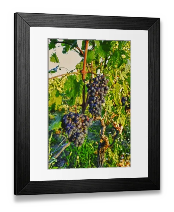 Framed Print : Europe, Italy