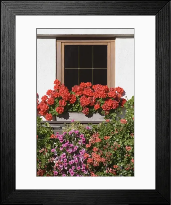 Framed Print : Italy, Trentino - Alto Adige, Bolzano province, Dolomites, Val di Funes, Tiso Framed Print : Italy, Trentino - Alto Adige, Bolzano province, Dolomites, Val di Funes, Tiso