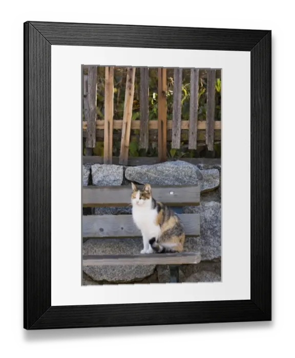 Framed Print : Italy, Trentino - Alto Adige, Bolzano province, Dolomites, Val di Funes Framed Print : Italy, Trentino - Alto Adige, Bolzano province, Dolomites, Val di Funes