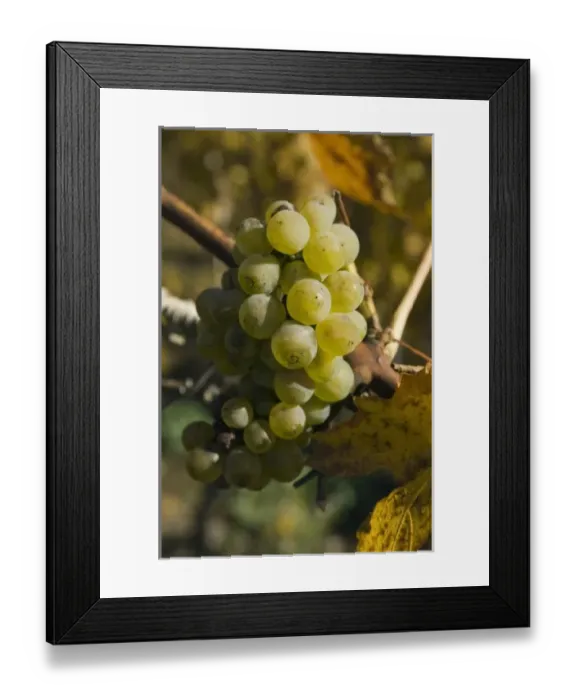 Framed Print : Europe, Italy