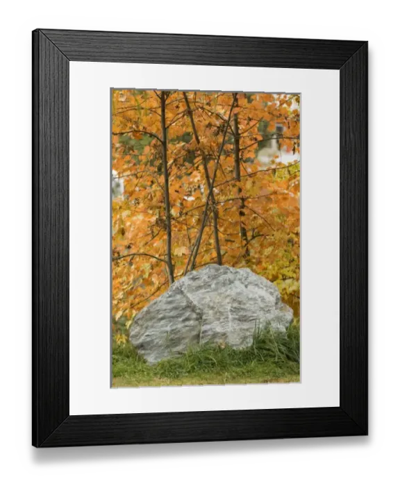 Framed Print : Europe, Italy